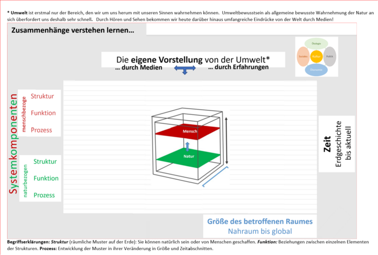 Basiskonzepte Struktur Und Funktion Zusammenhänge verstehen lernen… – Die digitale Schulbank
